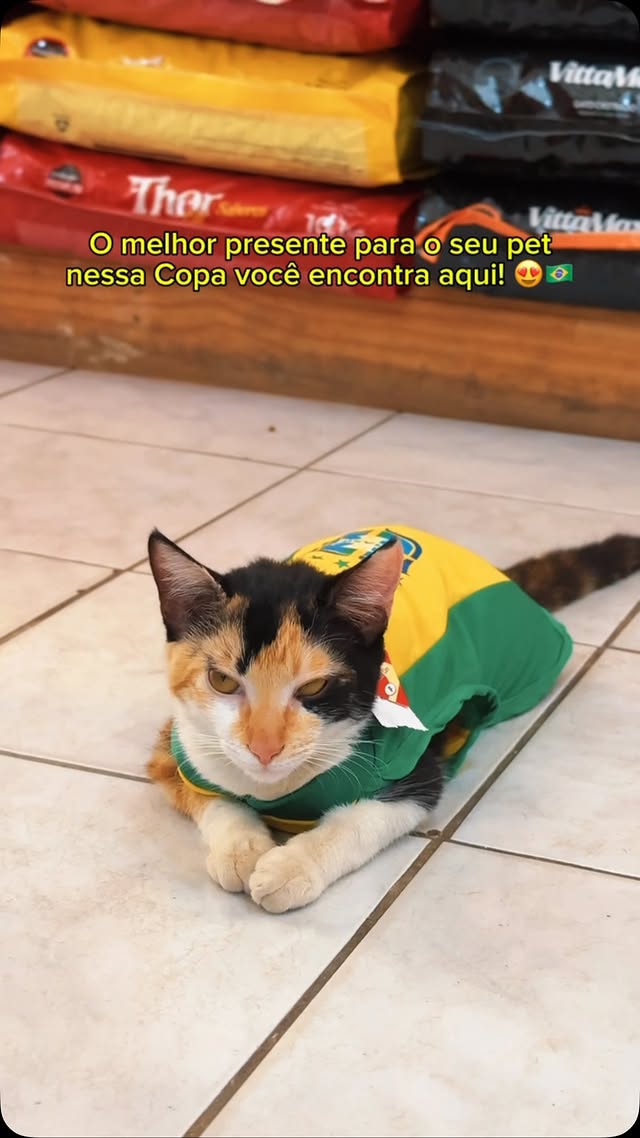 O melhor presente para o seu pet nesta Copa