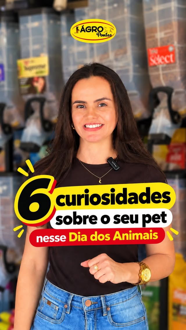 Curiosidades sobre o seu pet
