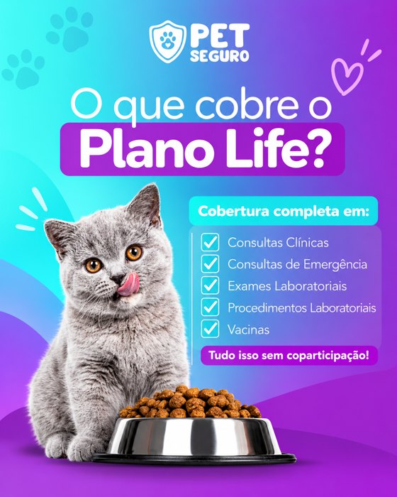 Post Pet Seguro 4